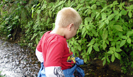 KimamBach